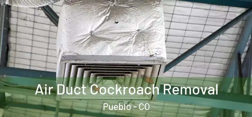 Air Duct Cockroach Removal Pueblo - CO
