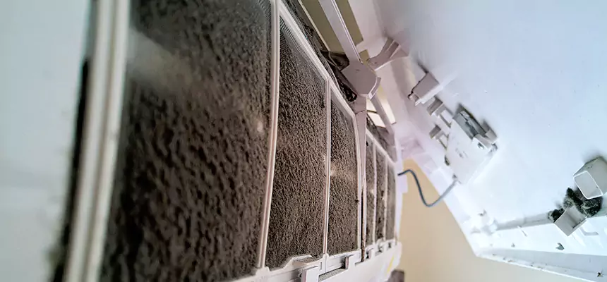 Preventive Air Duct Bacteria Removal in Pueblo