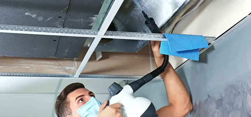 Our Air Duct Rodent Removal Services in Pueblo, CO
