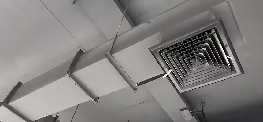 Our Rodent Droppings In Vents Services in Pueblo, CO