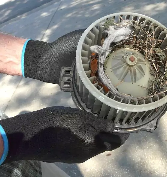 About Air Duct Rat Removal in Pueblo, CO