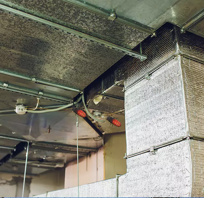 Why Homeowners & Businesses Trust Us in Pueblo, CO?